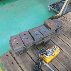 2018111102 ���������^